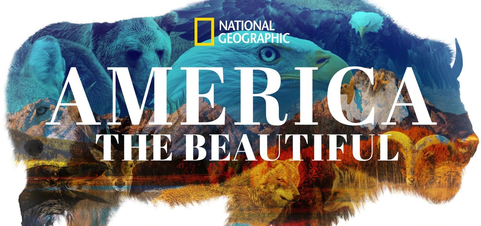 The title screen of America the Beautiful