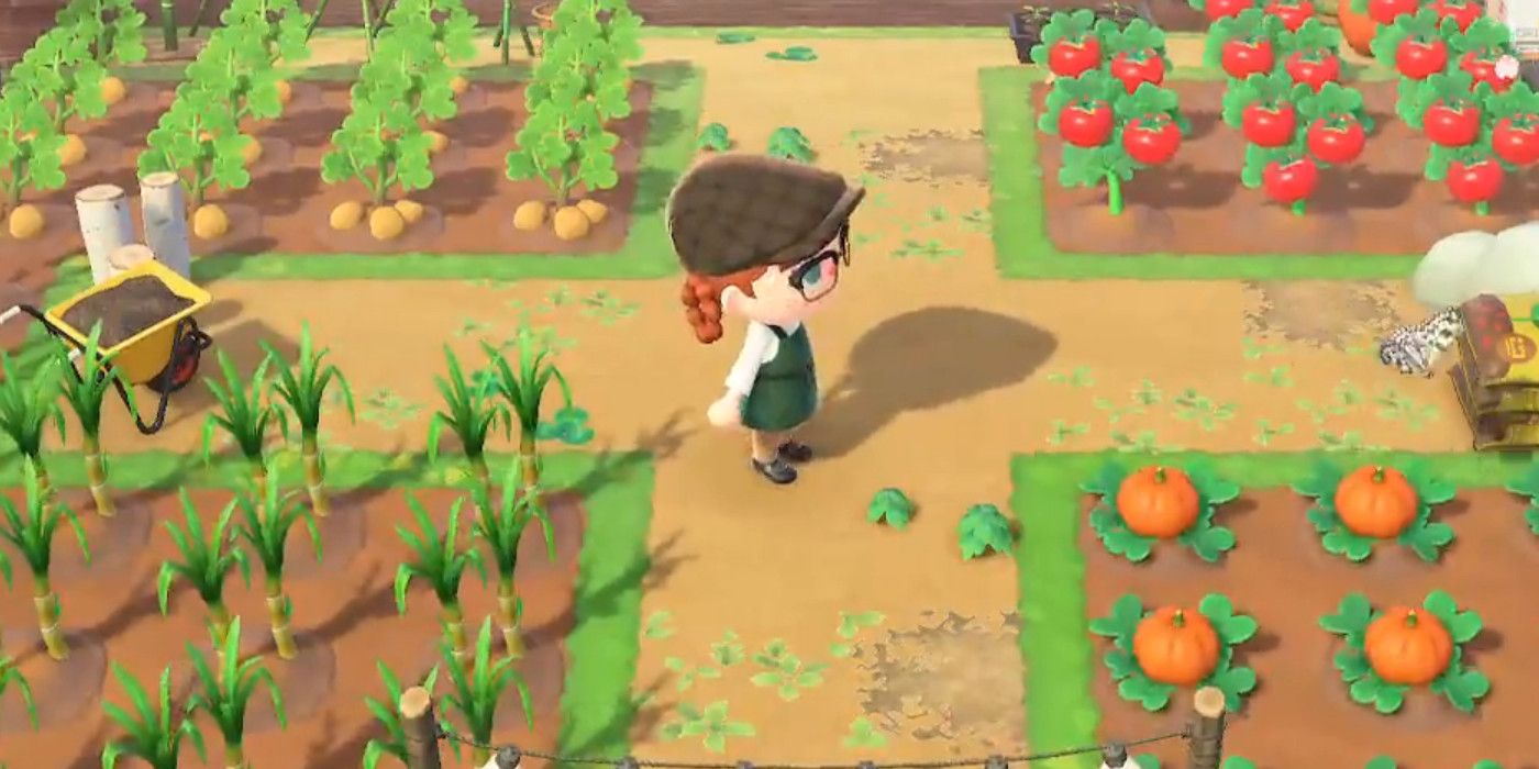 The player character standing in the middle of a farm full of crops in Animal Crossing: New Horizons.