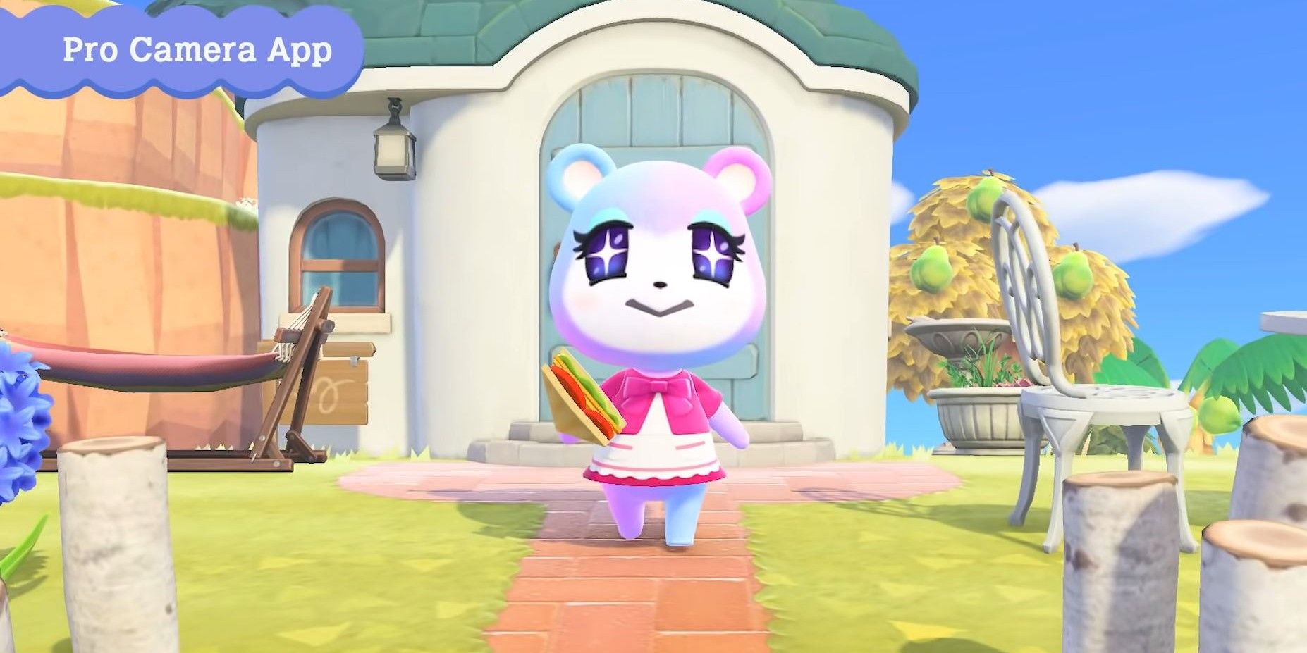 Animal Crossing Pro Camera App First Person