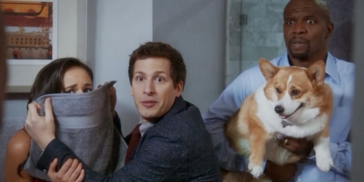 Jake covering Amy's face with a towel, Terry holding Cheddar in Brooklyn Nine-Nine