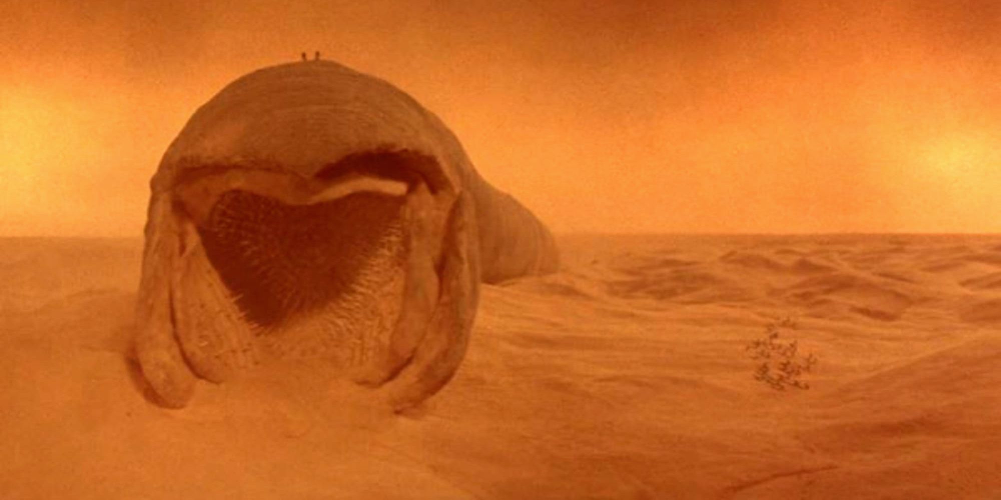 A sandworm in the 1984 version of Dune