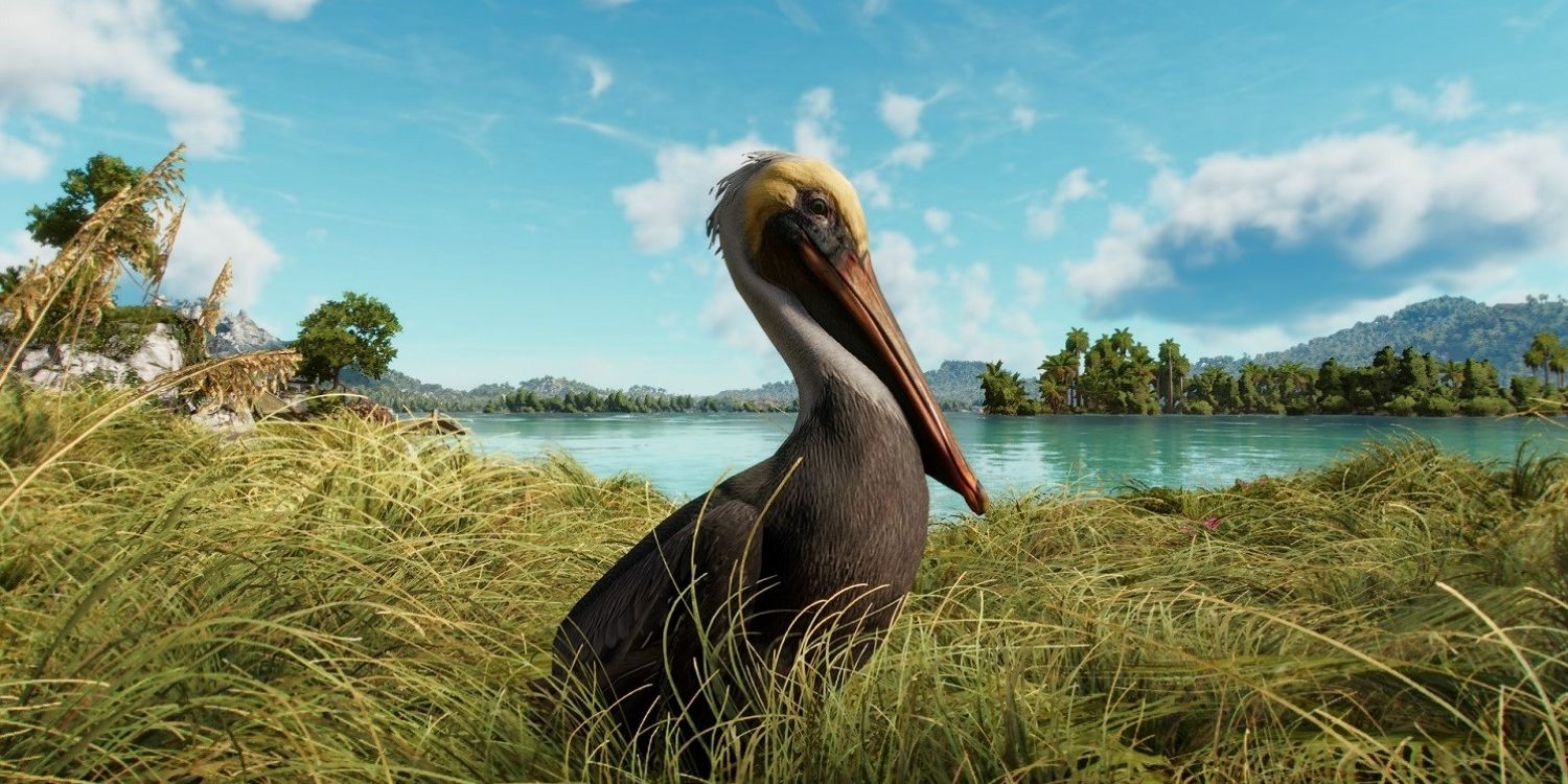 Far Cry 6 Pelican