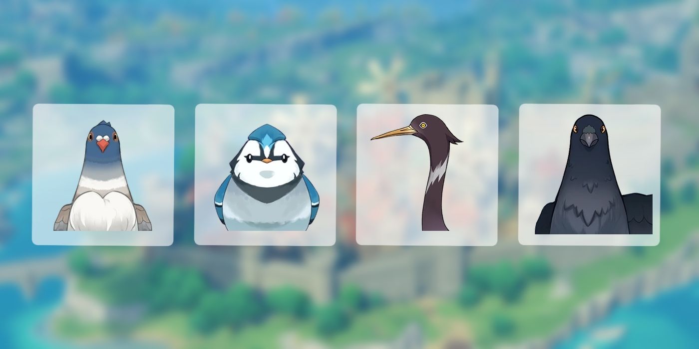 Genshin Impact Obtainable Birds and Locations