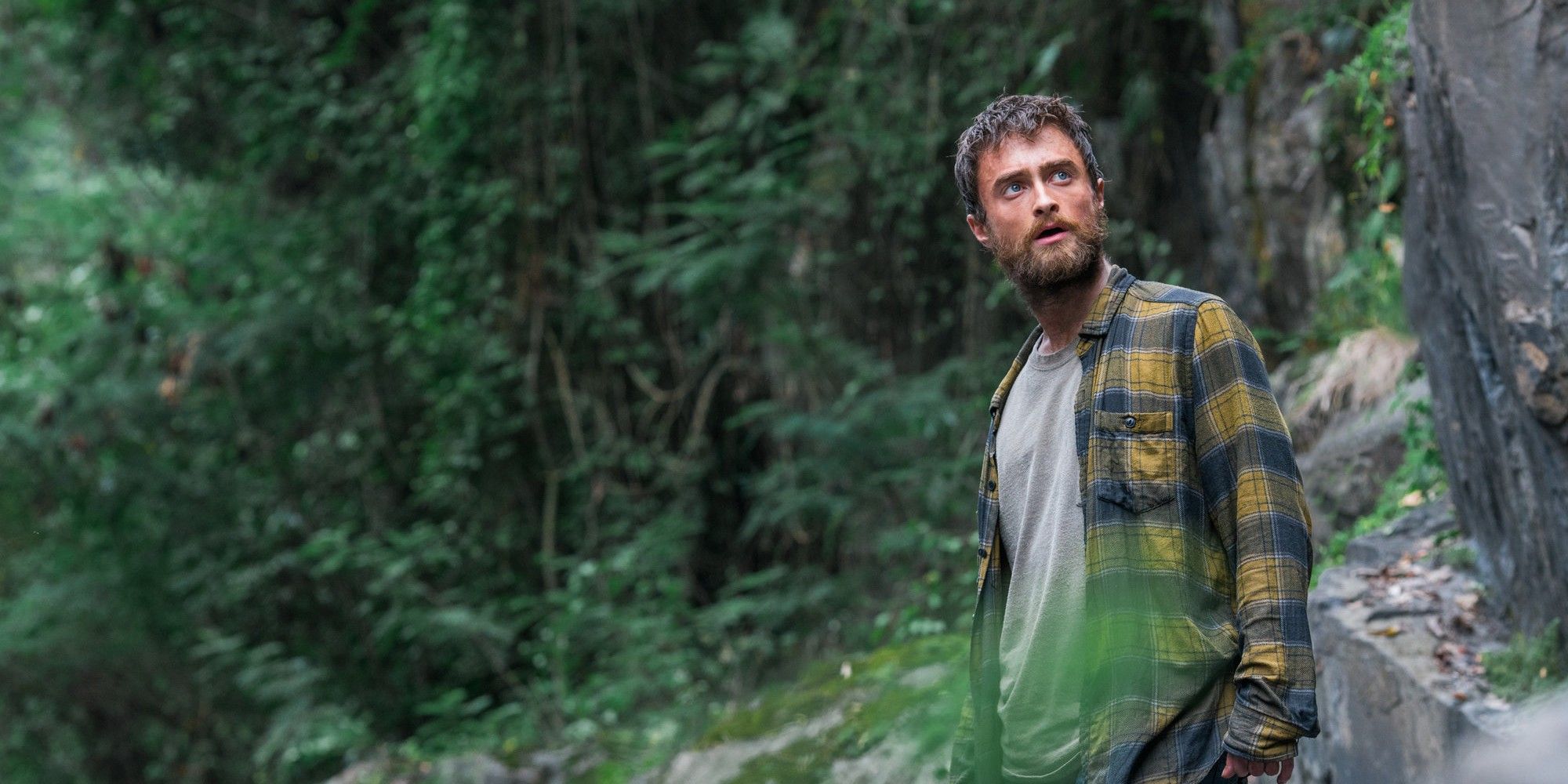 “Very Realistic”: Overlooked Daniel Radcliffe Movie Gets Perfect Rating From Survival Expert