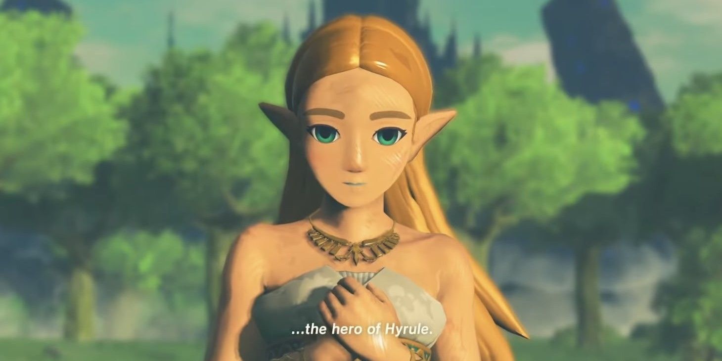 Legend of Zelda Breath of the Wild Zelda without cel-shading
