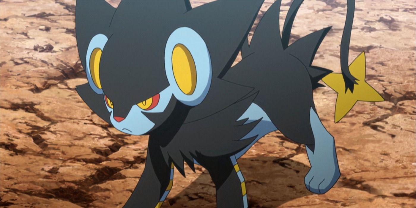 Luxray in the Pokémon anime.