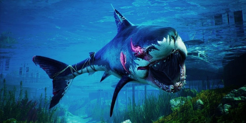 The giant mutated mako shark in Maneater gets ready for battle