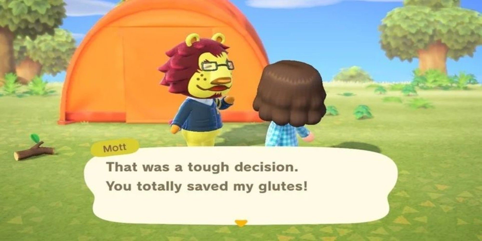 Animal Crossing: Funniest Villager Quotes In New Horizons