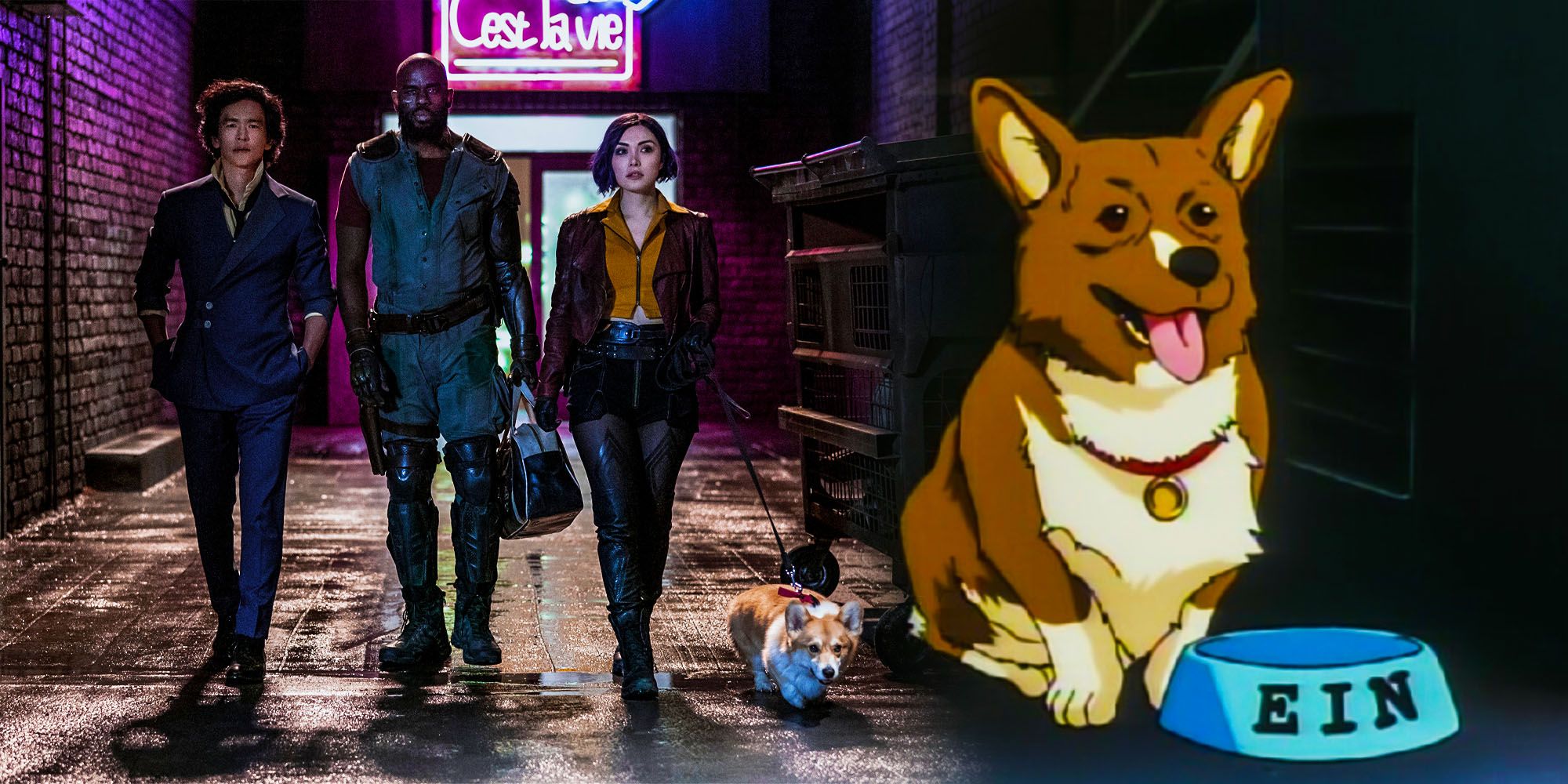 Netflix Cowboy bebop what happens to the dog ein in the anime