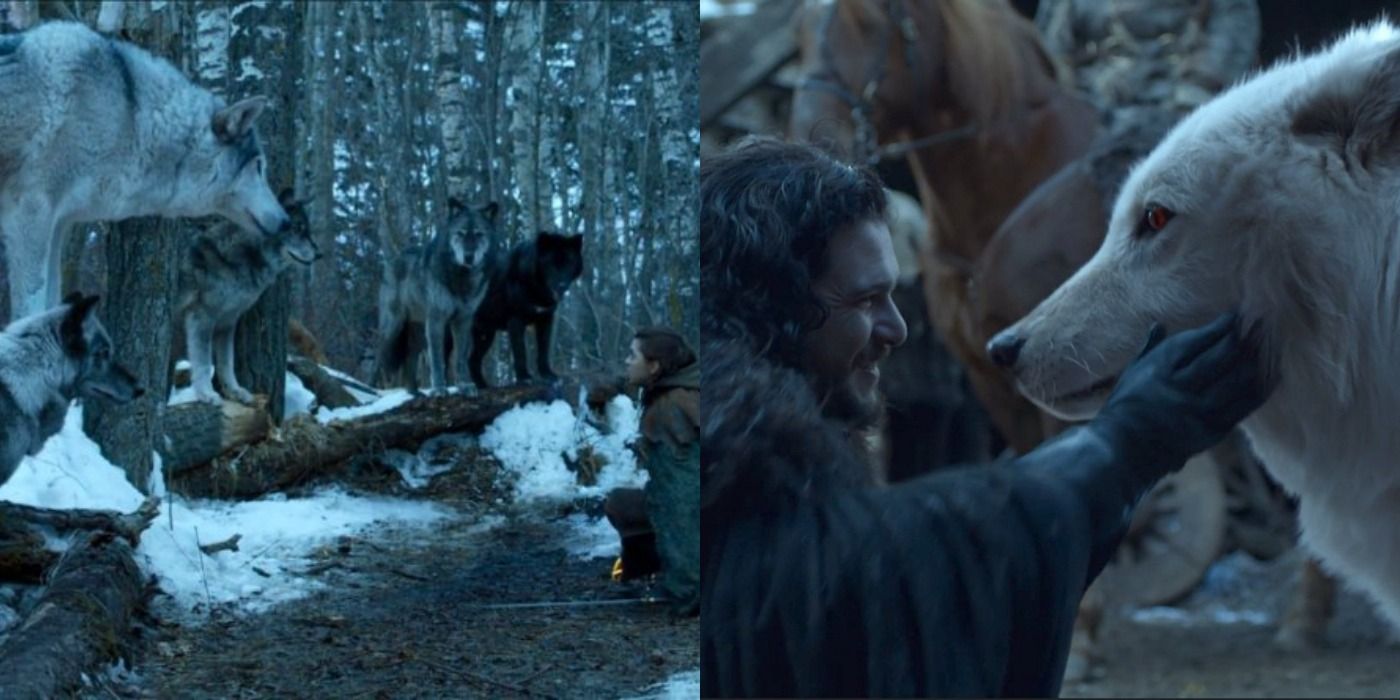 Split image of Arya meeting Nymeria's dire wolf pack and Jon reuniting with Ghost