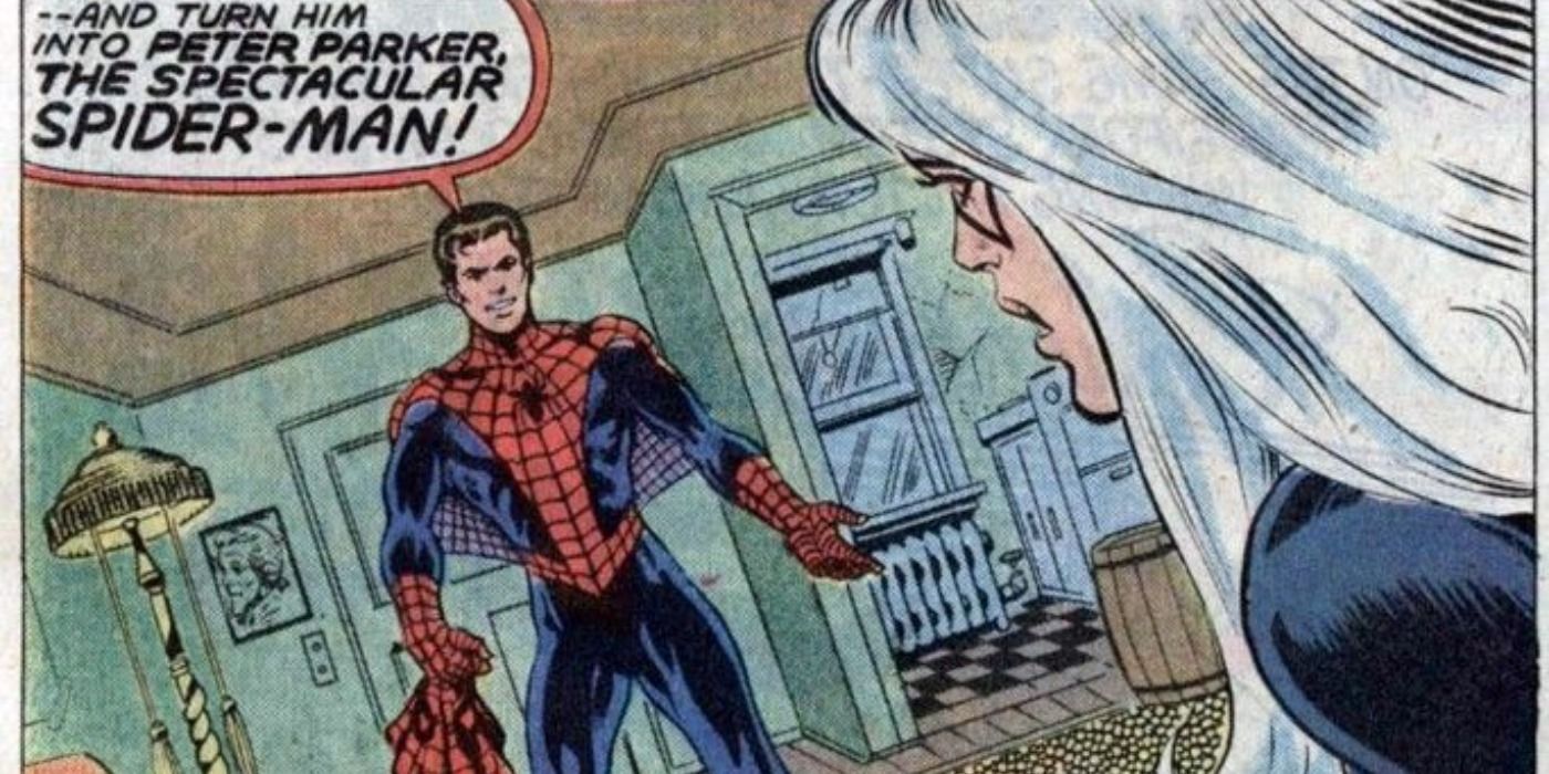 Peter Parker reveals he is Spider-Man to Black Cat in Marvel Comics.