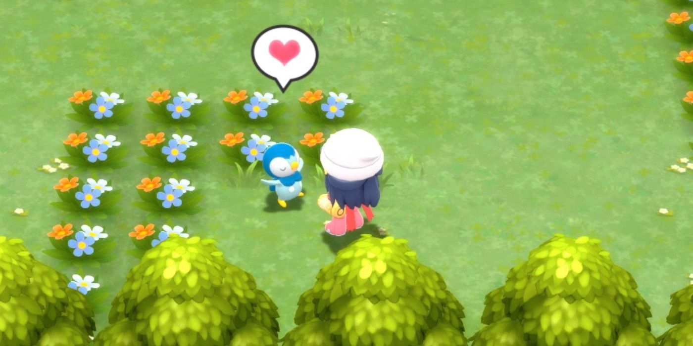 Dawn interacting with her pleased following Piplup in Pokemon