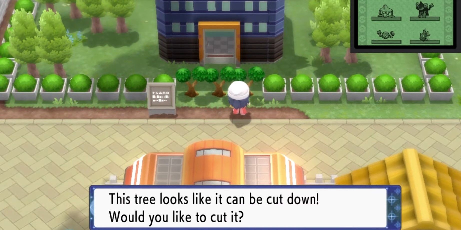 Pokémon BDSP: Where to Find Metal Coat (& What It's For)