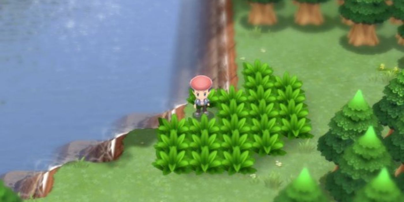Lucas at Lake Verity in Pokémon BDSP