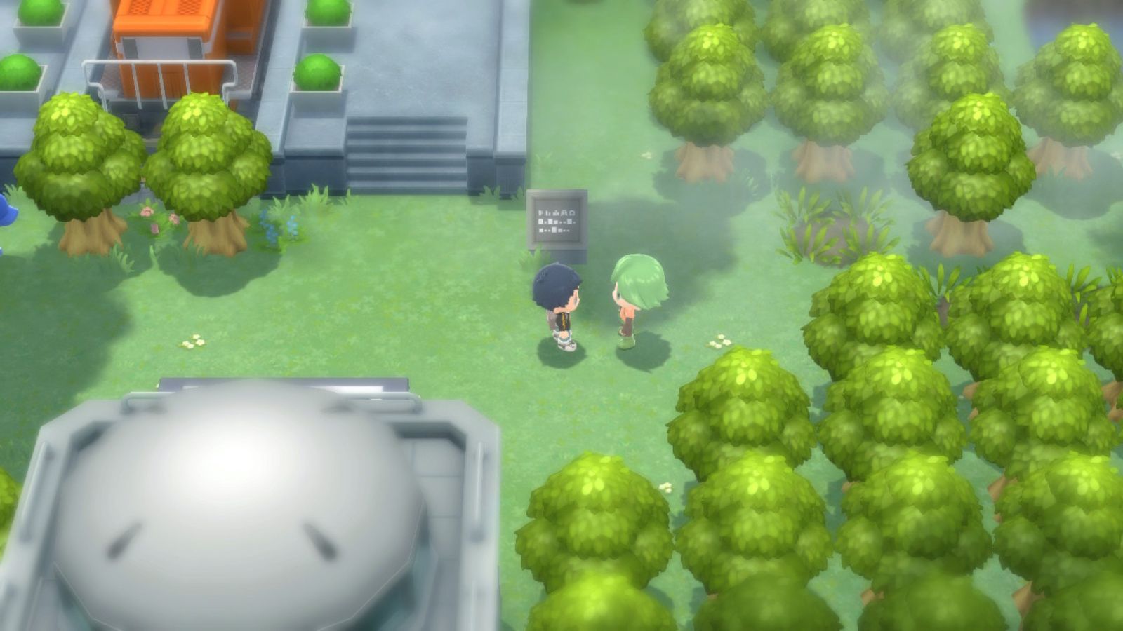 The Defog HM can be obtained in Pokemon Brilliant Diamond and Shining Pearl's Safari Zone.