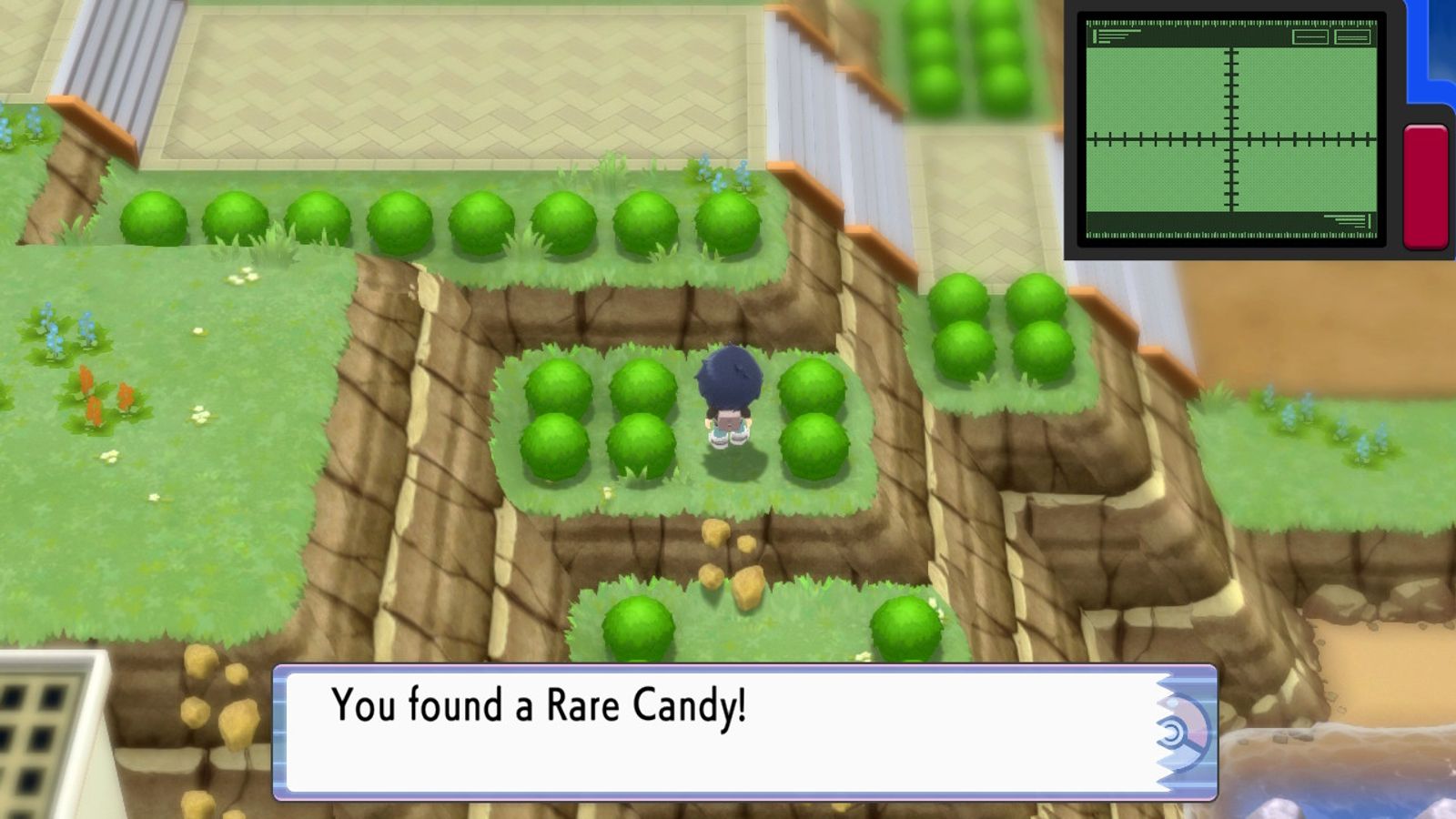 Players can find Rare Candy in Pokemon Brilliant Diamond and Shining Pearl's Sinnoh region.