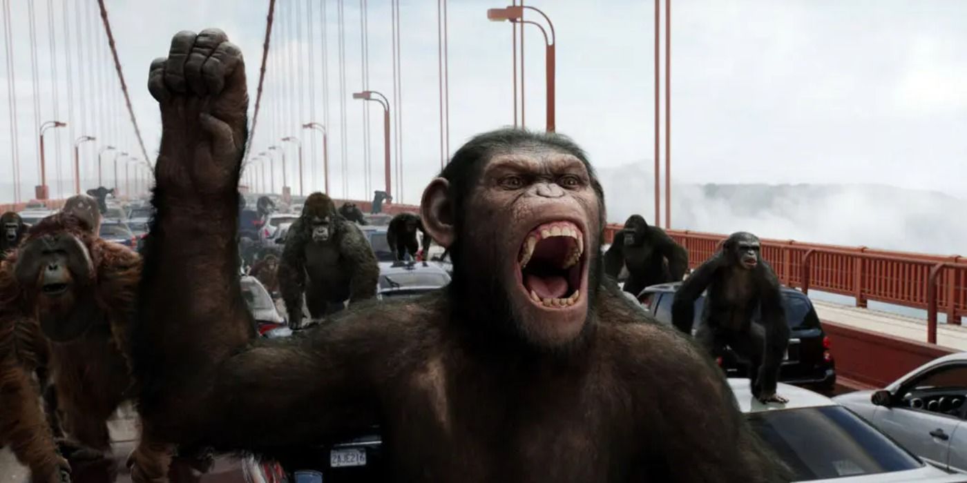 Caesar roaring defiantly with his ape supporters in tow