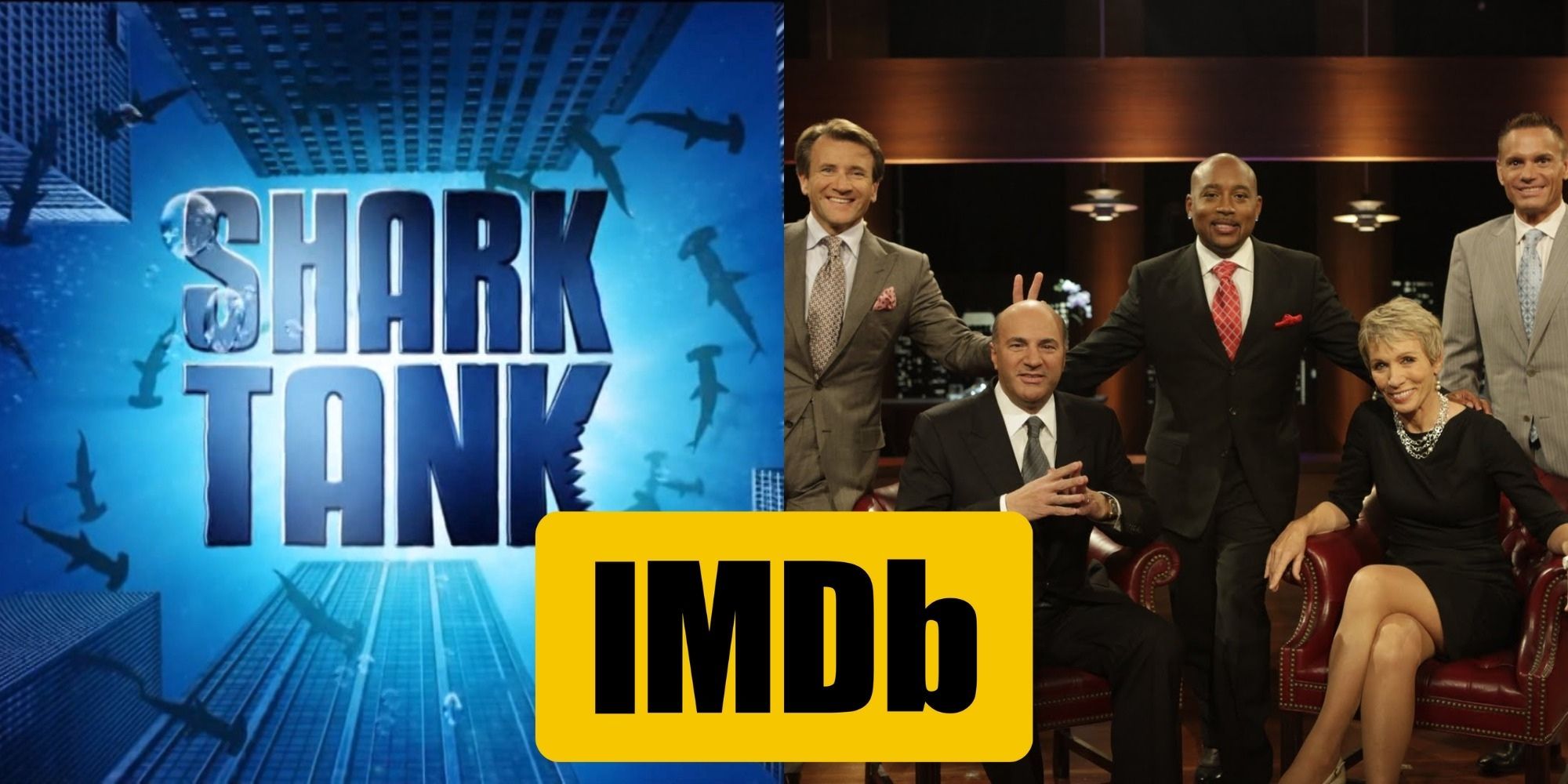 Shark Tank: All 13 Seasons Ranked According To IMDb
