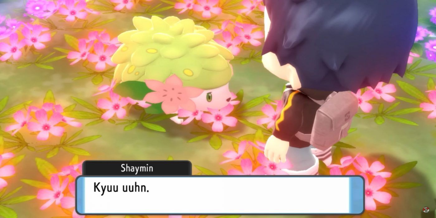 Shiny SHAYMIN 6IV Mythical / Pokemon Brilliant Diamond and 