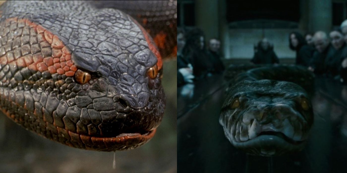 Best Snakes In Movie History, Ranked