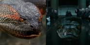 Best Snakes In Movie History Ranked