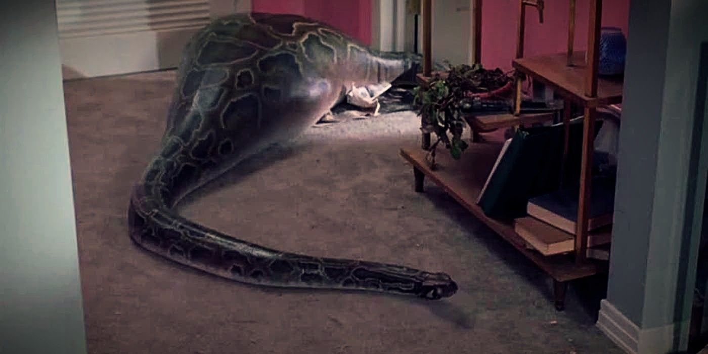 Sully's Snake After Eating Him in There's Something About Mary