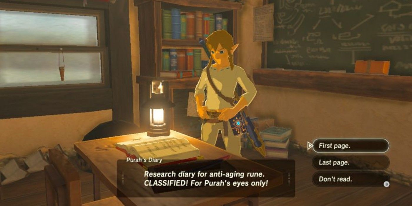 Legend of Zelda Breath of the Wild Link Purah Diary