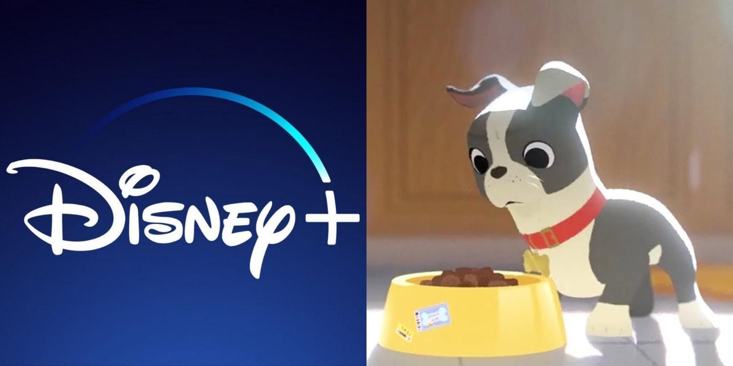 Split image of the Disney+ logo and Winston from Feast
