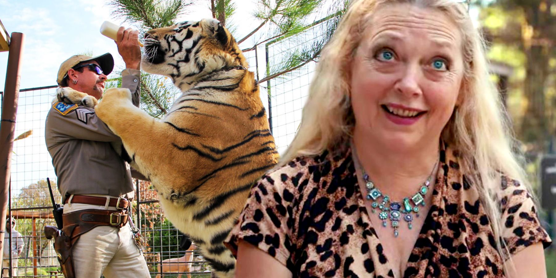 Tiger King 2 Why Carole Baskin Refused To Return