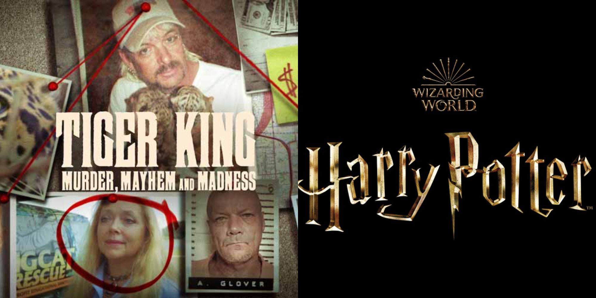 Split image showing the poster for Tiger King and the Harry potter logo