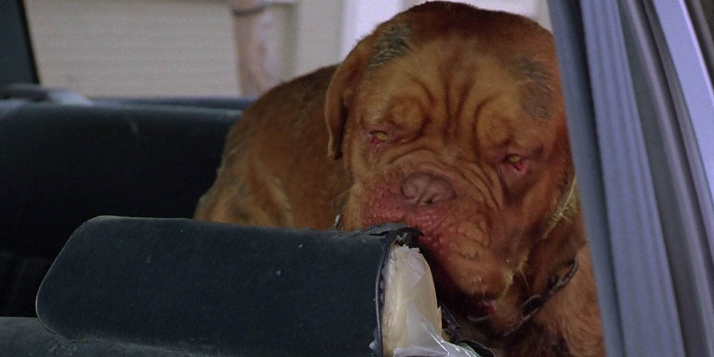 Turner & Hooch (1989) The 10 Funniest Quotes From The Movie
