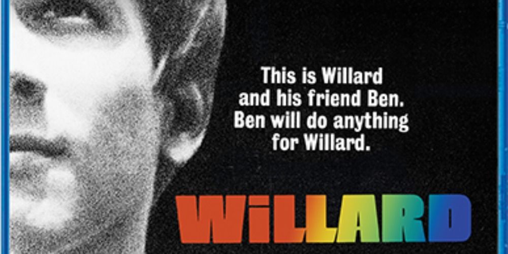 Willard 1971 Scream Factory Blu ray cover
