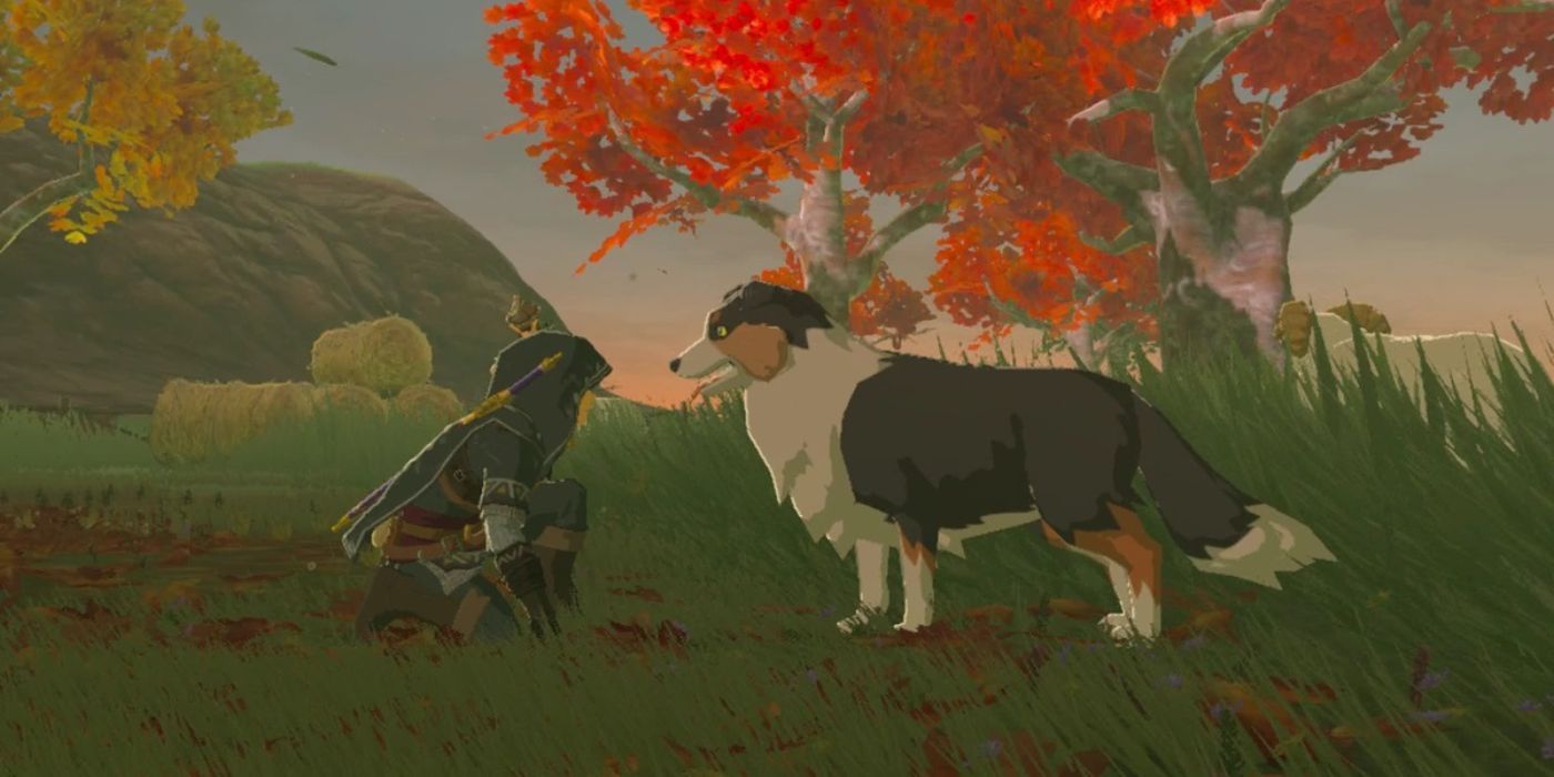 Link crouches in front of Satty the dog in Breath of the Wild