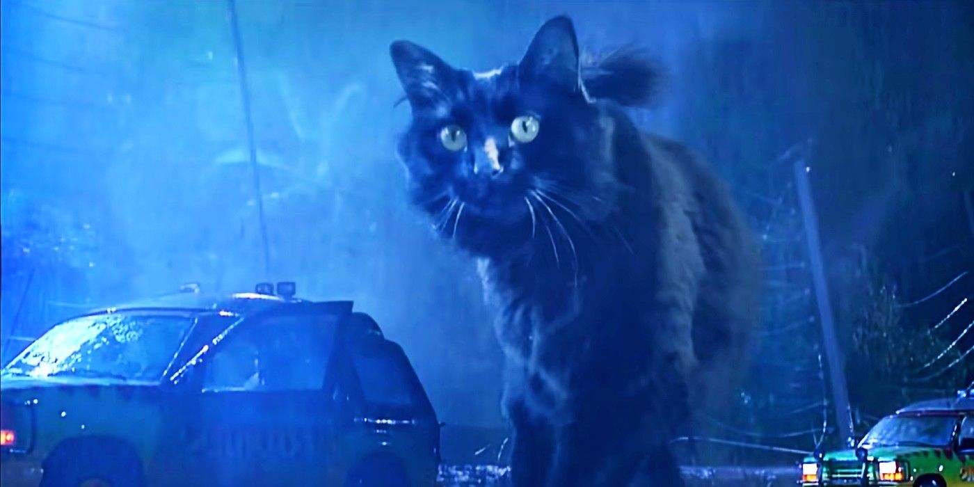 Jurassic Park T Rex Replaced With Giant Cat In Hilarious Parody Video Jurassic Park T Rex Replaced With Giant Cat In Hilarious Parody Video