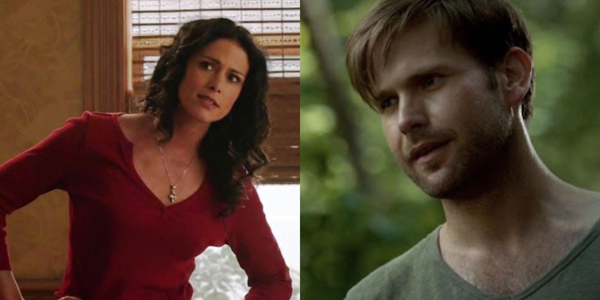 Melissa Mccall and alaric split photo from teen wolf and vampire diaries