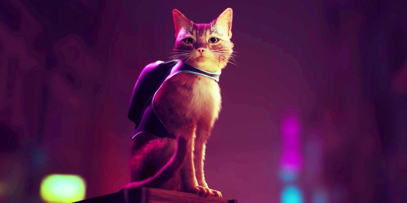 A cat wearing a backpack in the trailer for Stray.