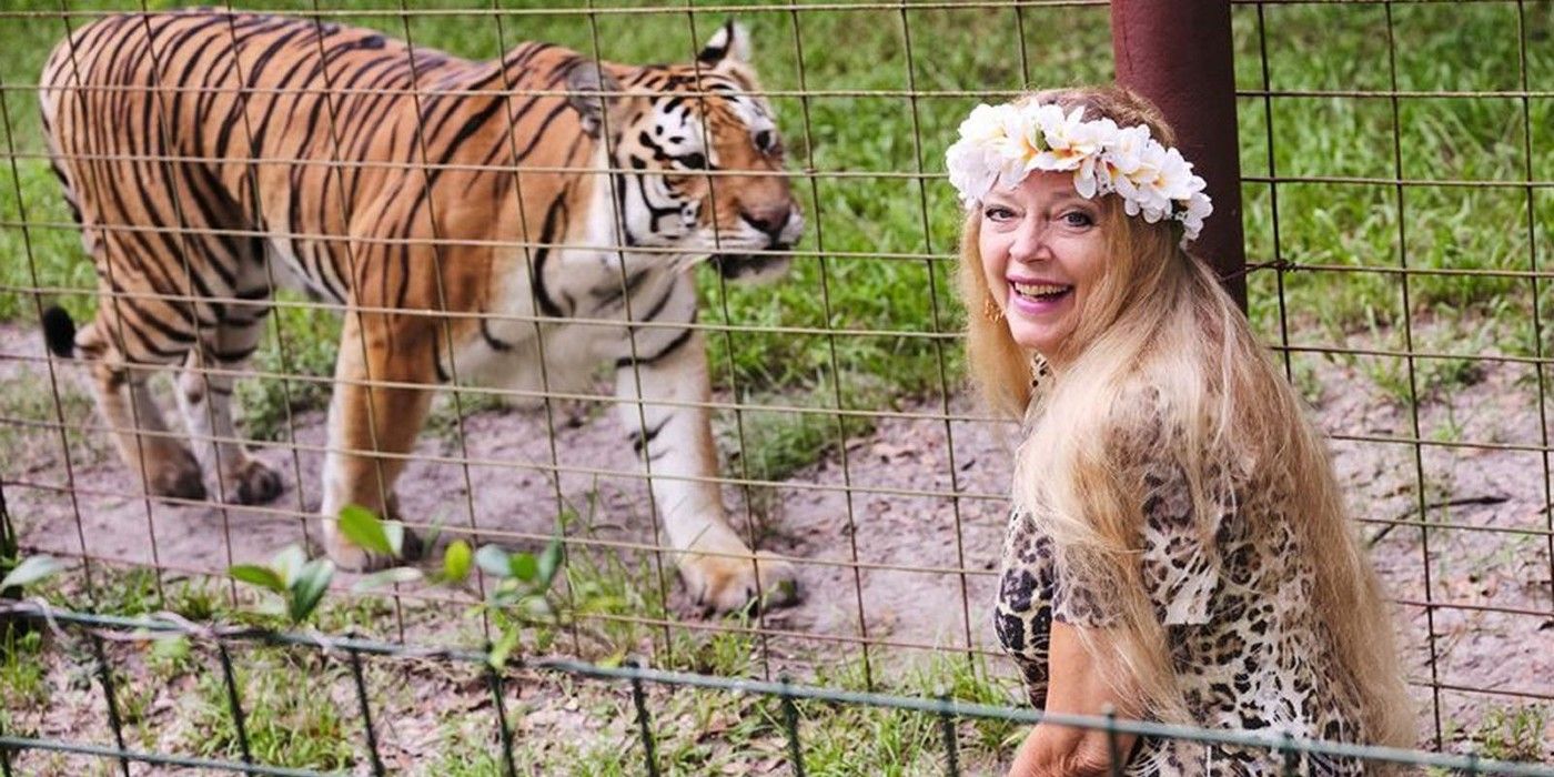 Carole Baskins standing in front of a tiger in The Tiger King 