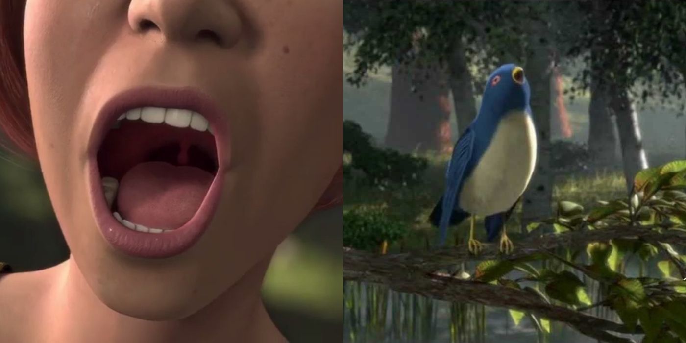 Shrek Fiona Singing Bird