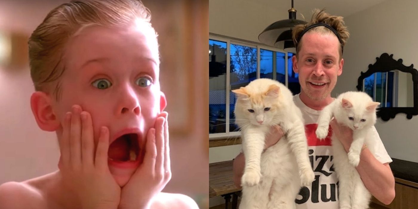 Uma imagem dividida de Macaulay Culkin de Home Alone e em casa com gatos