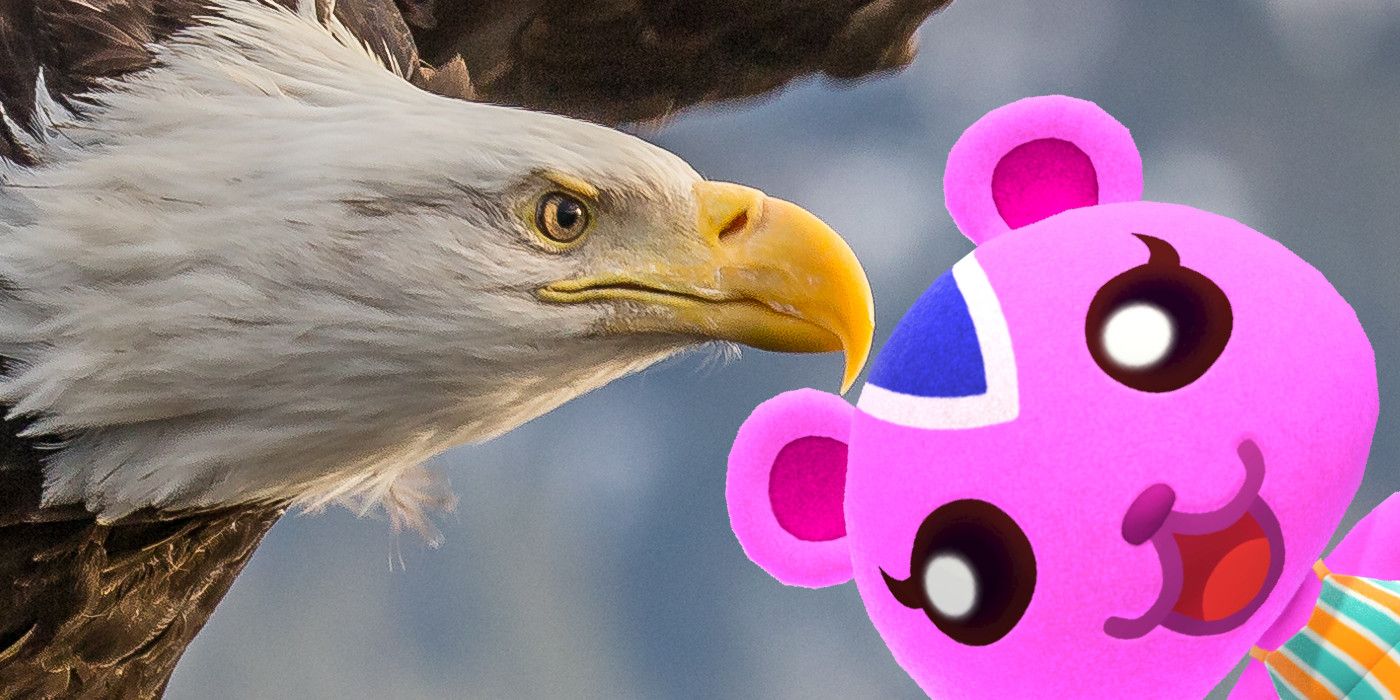 A Bald Eagle, America's National Animal next to Peanut from Animal Crossing