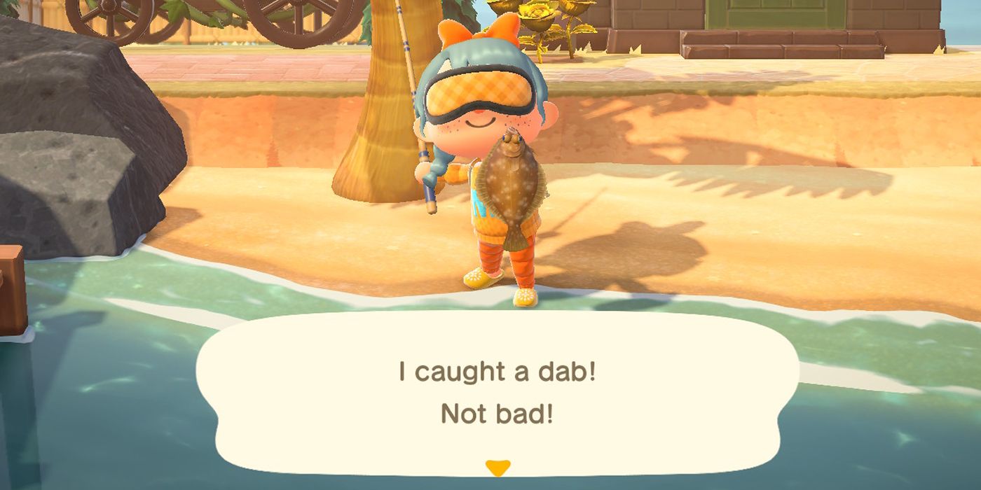 Animal Crossing Dab Cooking Fishing & RealLife Facts