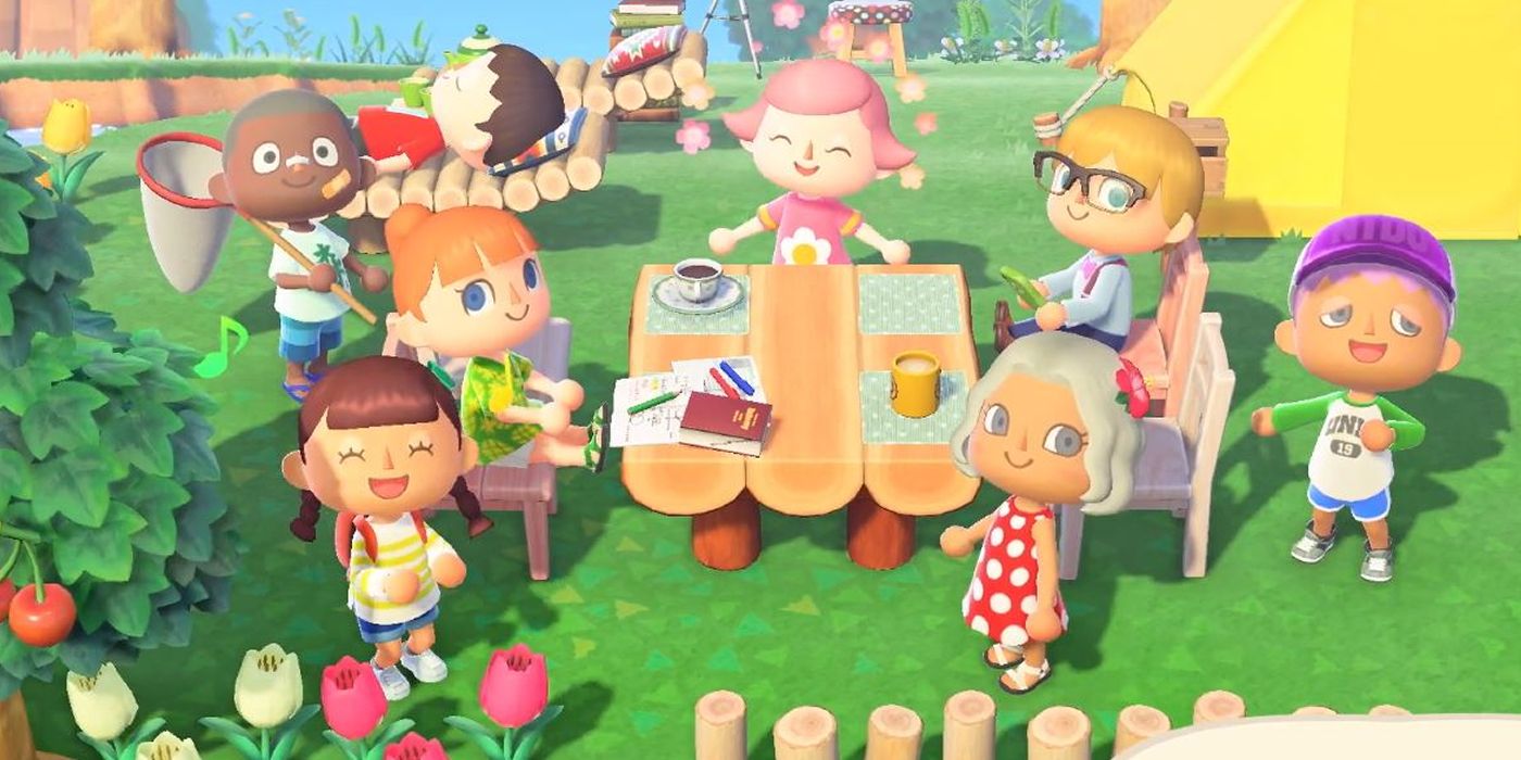 Animal Crossing New Horizons Multiplayer Co Op