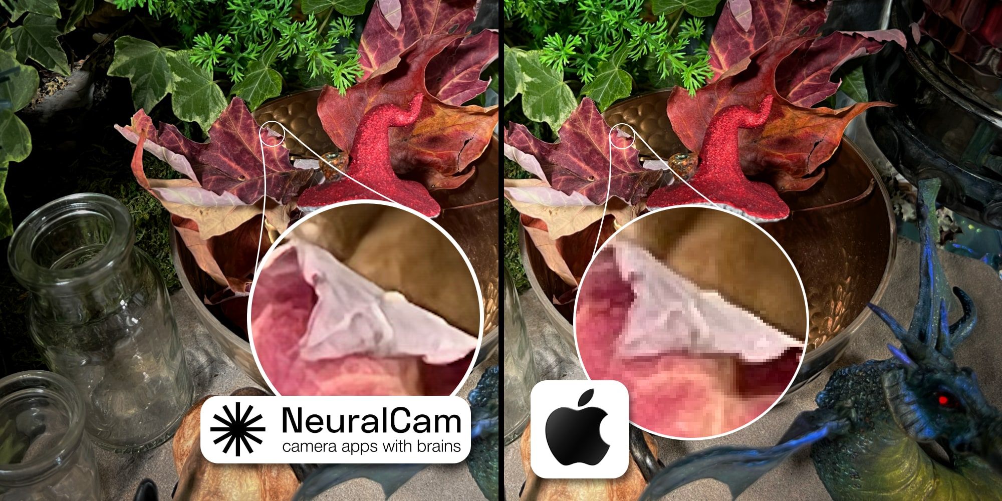 Apple iPhone Camera App Vs NeuralCam