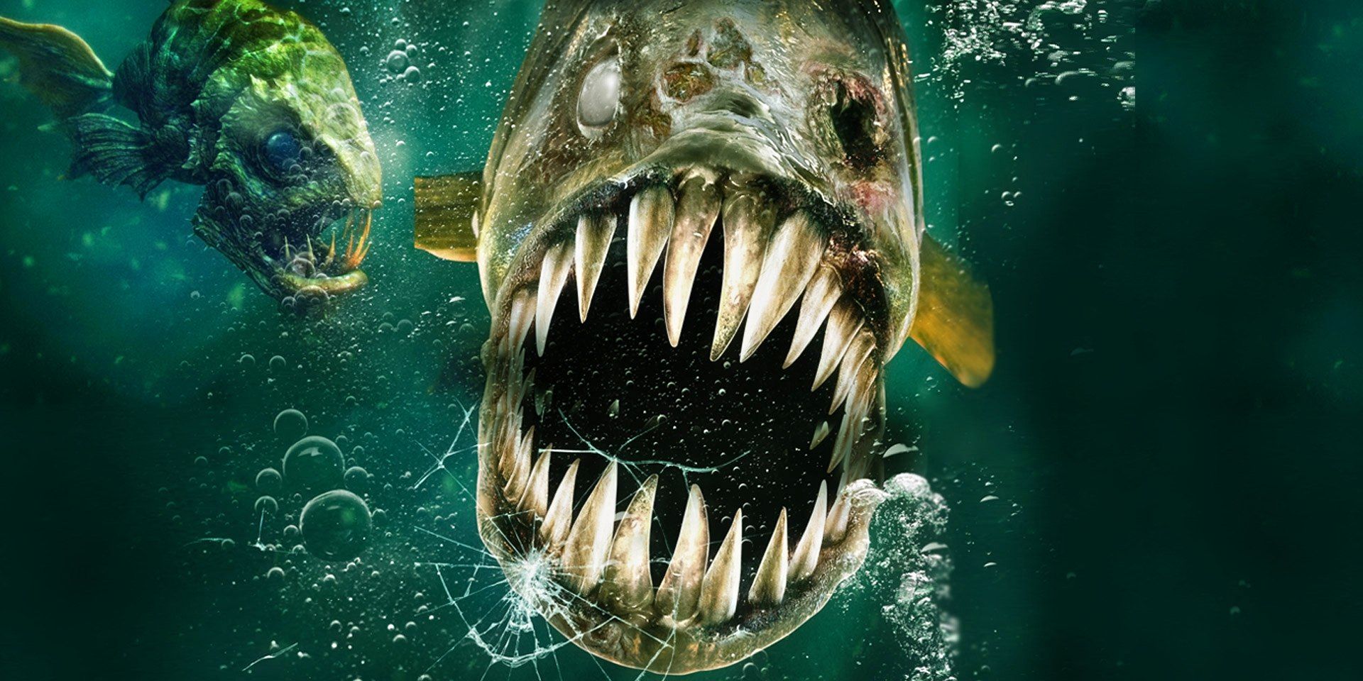 Where To Watch Aquarium Of The Dead Online Netflix Hulu Prime 