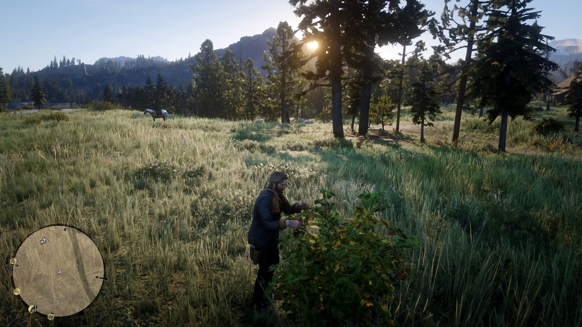 Red Dead Redemption 2 Where To Find Raspberries