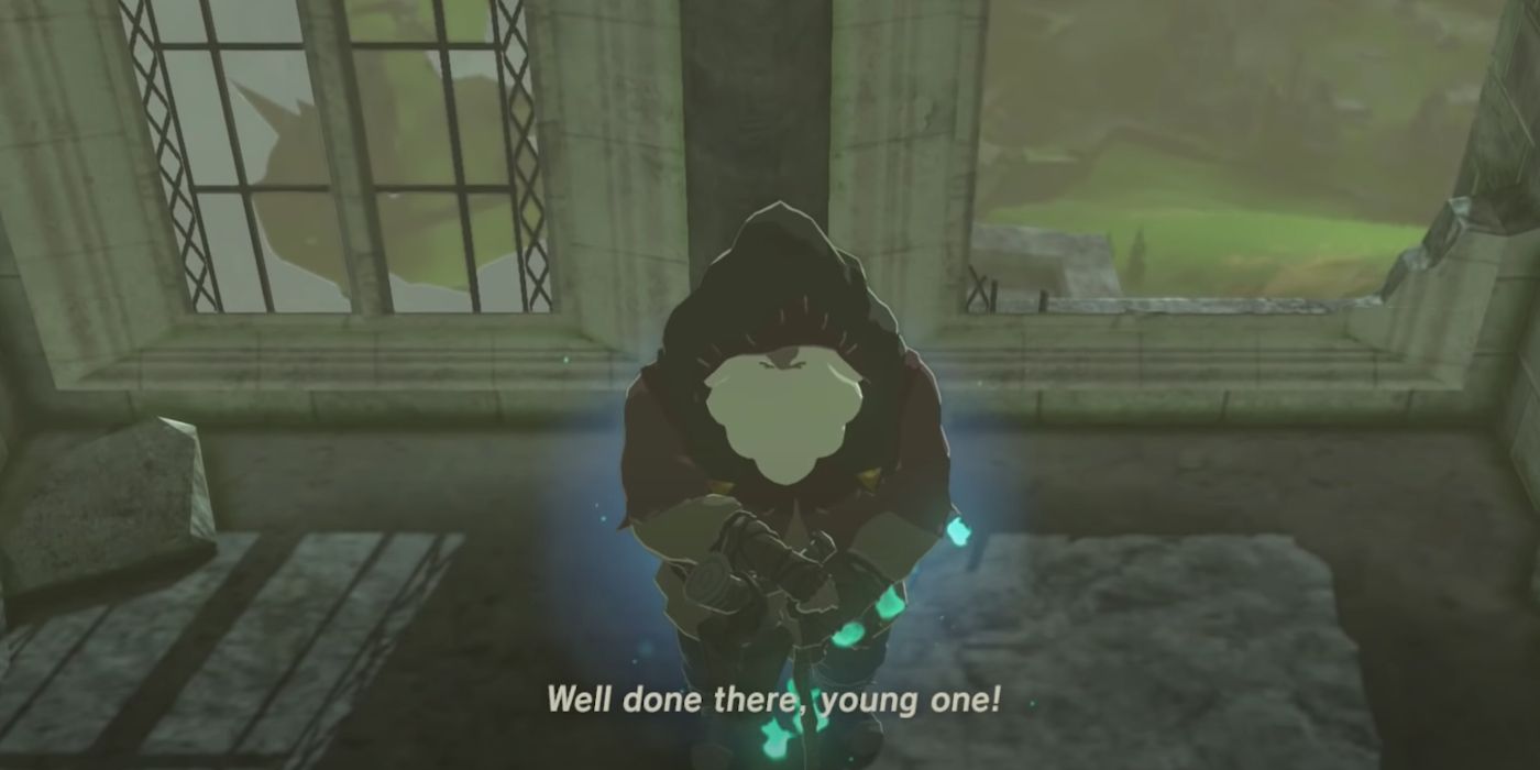 The Old Man waits for Link in BOTW's Temple of Time.