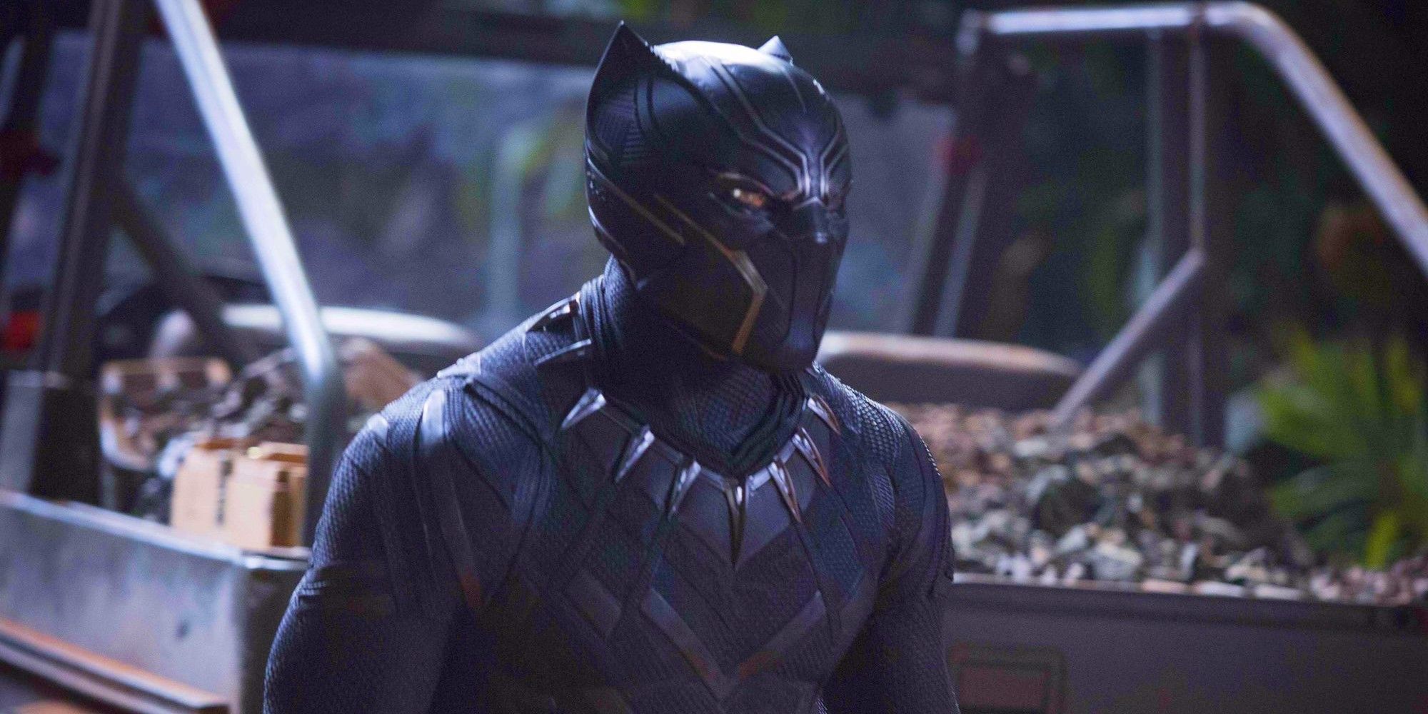 King T'Challa dressed as Black Panther