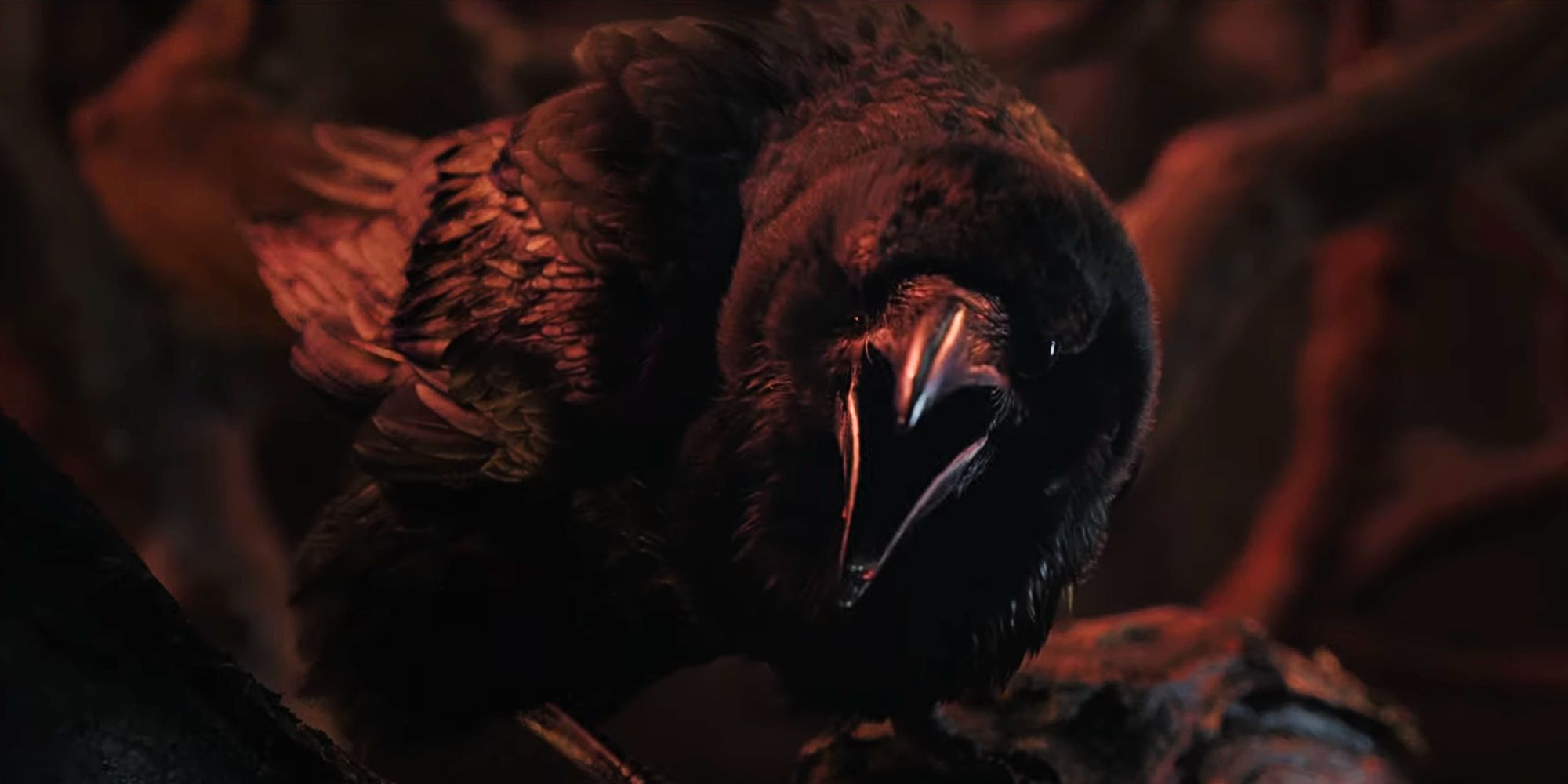 Cawing Crow in Doctor Strange 2