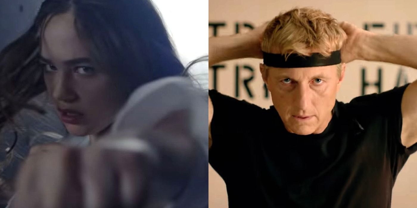 A split image depicts Sam LaRusso and Johnny Lawrence in Cobra Kai