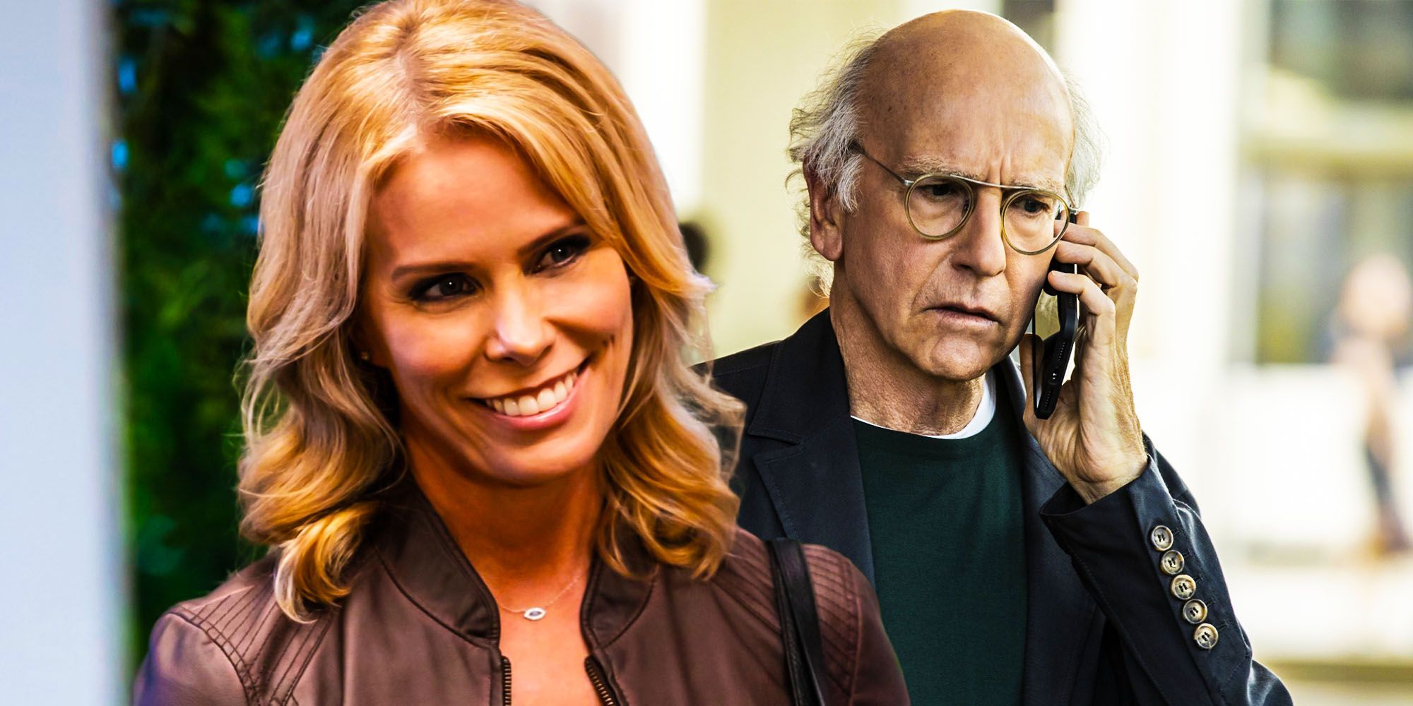Curb your enthusiasm Larry and cheryl divorce saved the show